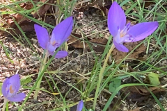 m5
