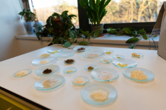 XII-Talentum_Biotechnologiak__019