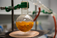 XII-Talentum_Biotechnologiak__020