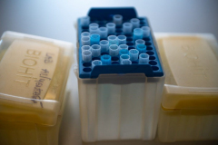 XII-Talentum_Biotechnologiak__026