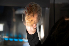 XII-Talentum_Biotechnologiak__034