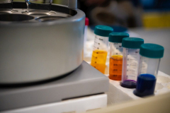 XII-Talentum_Biotechnologiak__056